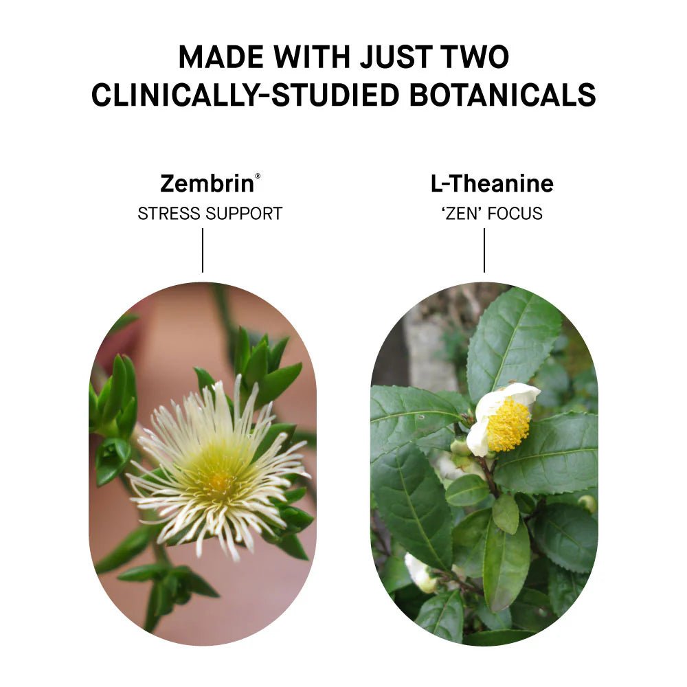 Stress Shot Trial Pack (4-pack) - STORE4DIABETICS